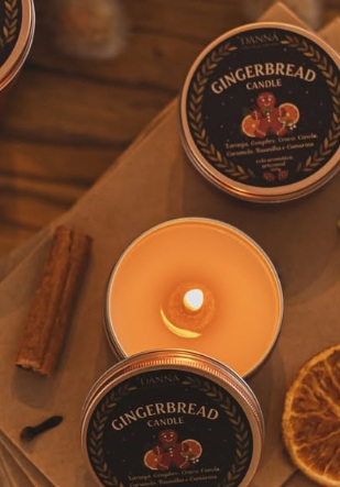 Coleção especial Ginger da Danna Decor & Aromas