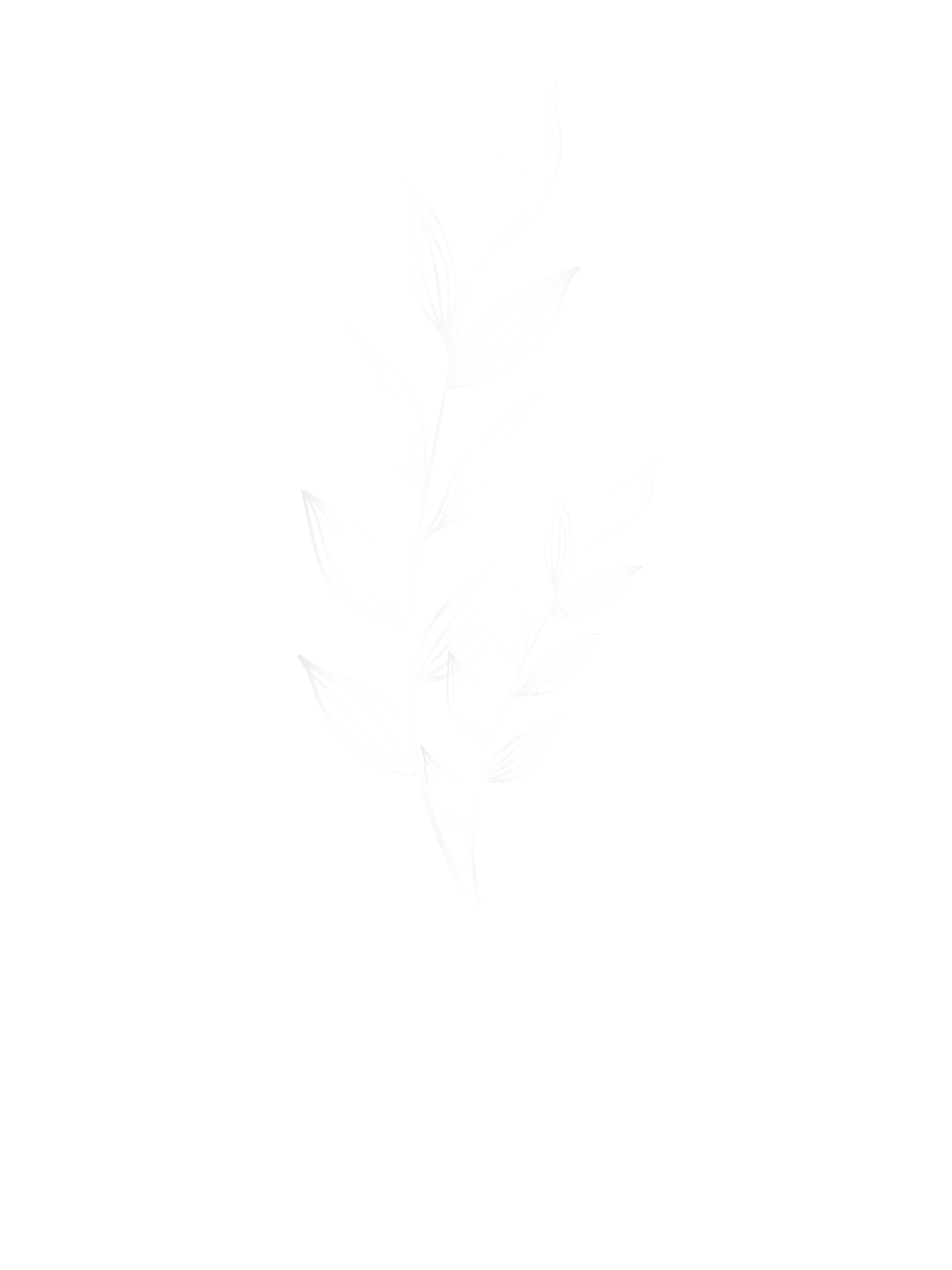 Danna Decor & Aromas